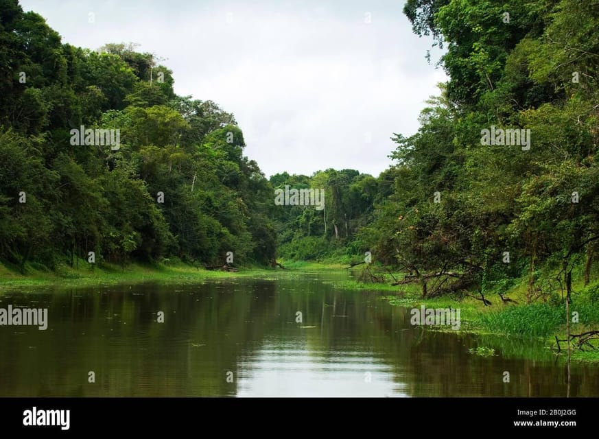 Manú Park | Paucartambo | Pilcopata 3 days includes food - Authentic Encounters and Wildlife Watching