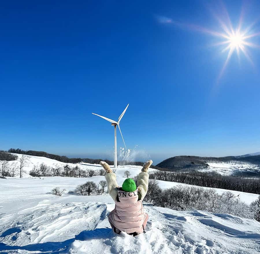 Seoul: Balwangsan Cable Car & Samyang Ranch One Day Tour - FAQ