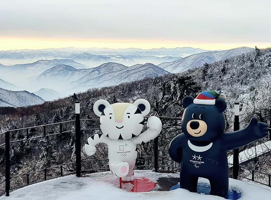 Seoul: Balwangsan Cable Car & Samyang Ranch One Day Tour - The Itinerary Breakdown