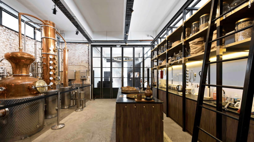 Singapore: Brass Lion Gin Distillery Tour Ticket - Exploring the Brass Lion Gin Distillery Experience  