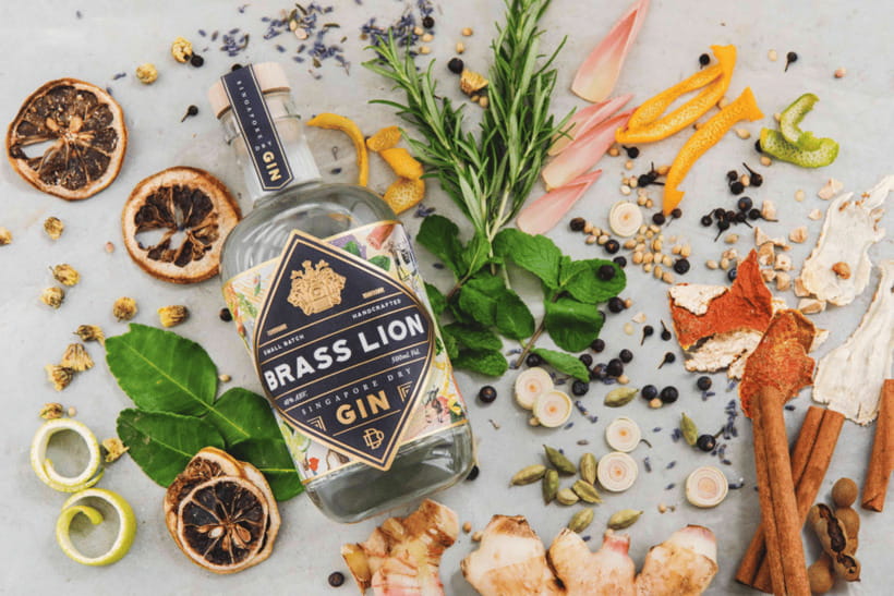 Singapore: Brass Lion Gin Distillery Tour Ticket - What You Can Expect on the Tour  