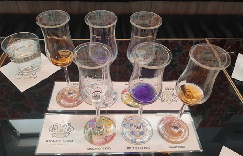 Singapore: Brass Lion Gin Distillery Tour Ticket - Final Thoughts  