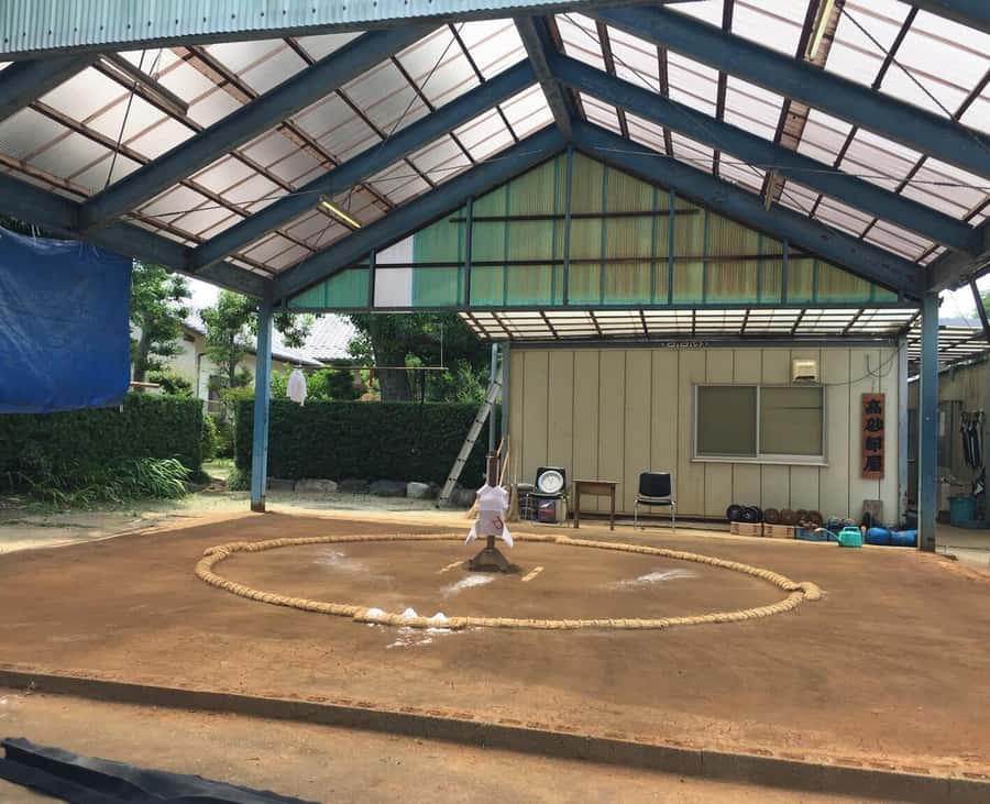 Nagoya: Visit Sumo Morning Practice with English Guide - Practical Tips for Your Visit