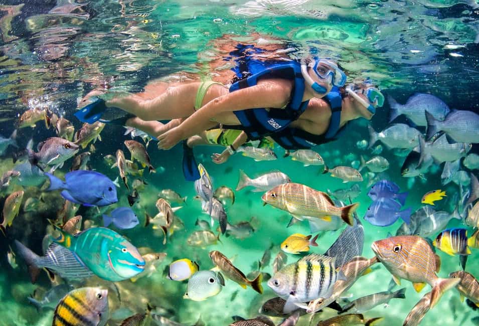 Glass Boat Adventure In Punta Cana - Glass Boat Adventure in Punta Cana: A Detailed Review