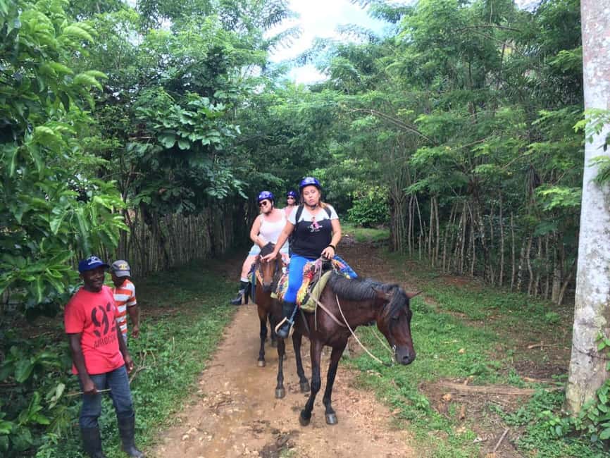 Samana, Ballenas, Cayo Levantado, Horseback Riding - Practicality and Value