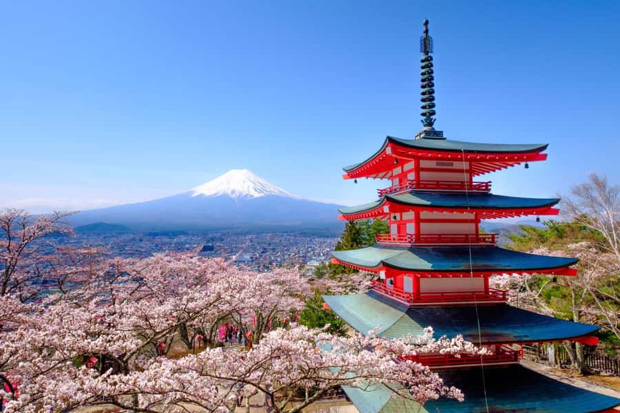 Tokyo: Private Mt.Fuji Day Trip with English-Speaking Driver - Key Points