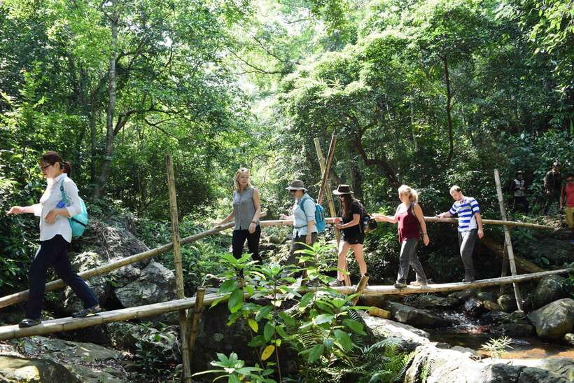 Wildlife and Jungle Adventure - 01Day in Phong Nha - Key Points