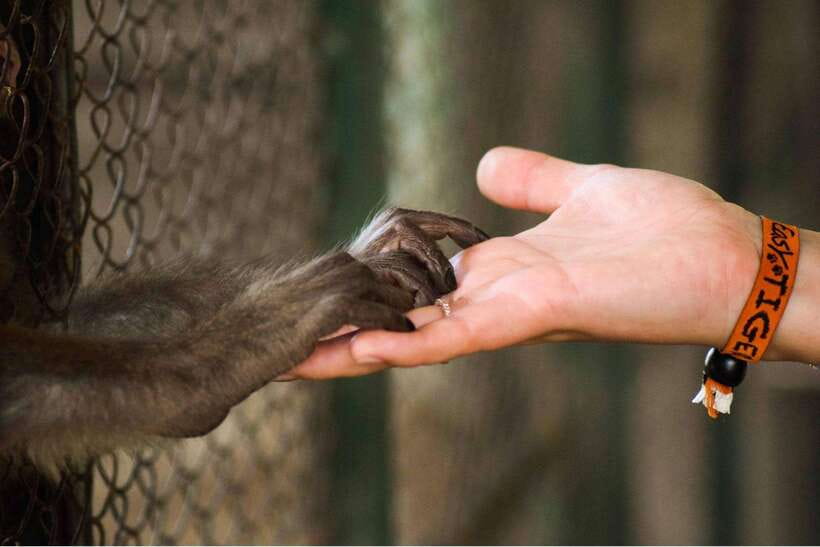 Wildlife and Jungle Adventure - 01Day in Phong Nha - Why This Tour Offers Great Value