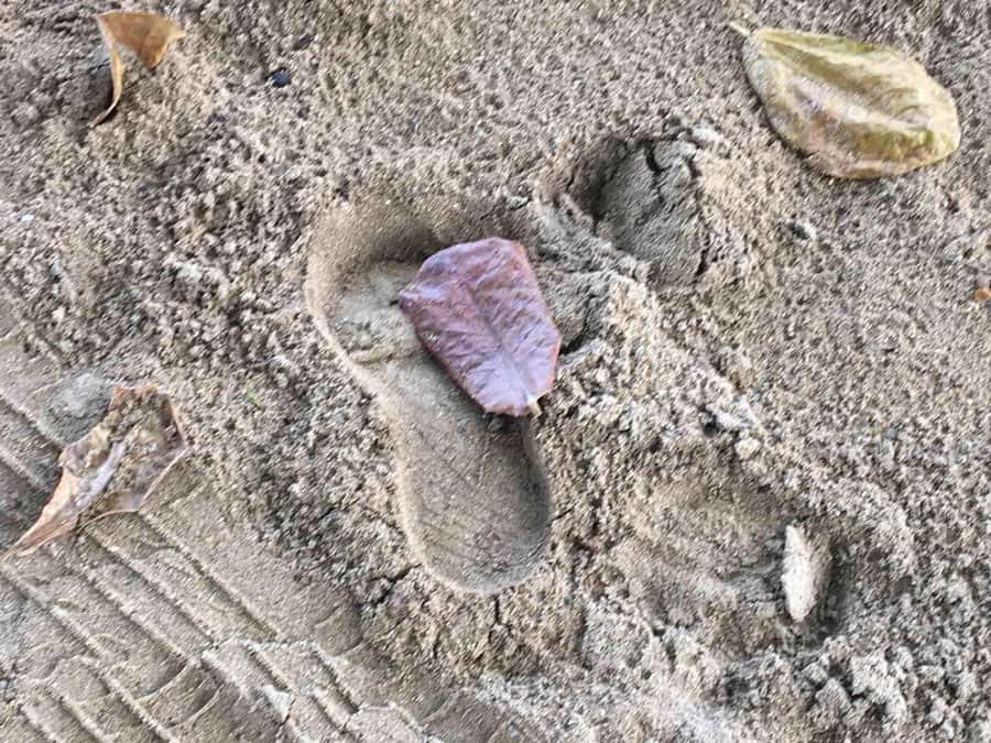 Tanoa Waterfront Hotel to Natadola Beach Round Trip - Activities and Optional Extras  