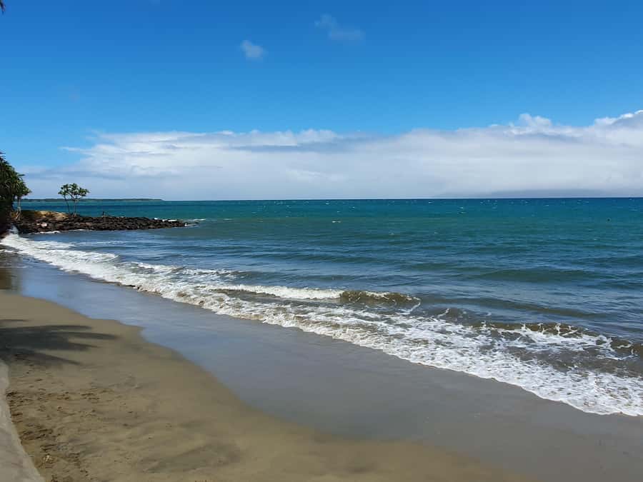 Tanoa Waterfront Hotel to Natadola Beach Round Trip - Who Would Love This Tour?  