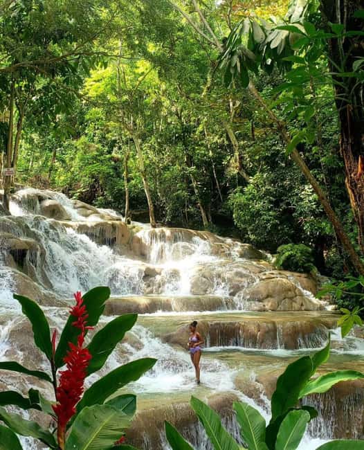 Private Tour to Dunns River and Blue Hole from Montego Bay - What Makes This Tour Worth Considering?
