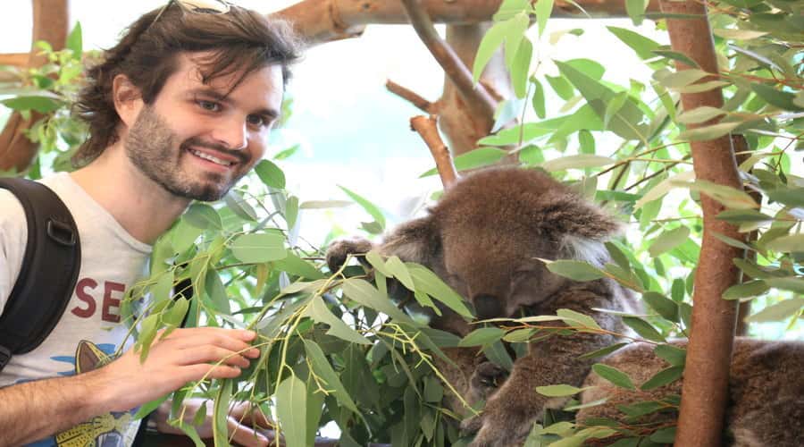 Pinnacles, Koalas & Sandboarding Tour Day Trip from Perth - Unpacking the Day: What to Expect at Each Stop