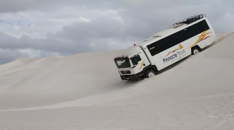 Pinnacles, Koalas & Sandboarding Tour Day Trip from Perth - Transport and Group Dynamics