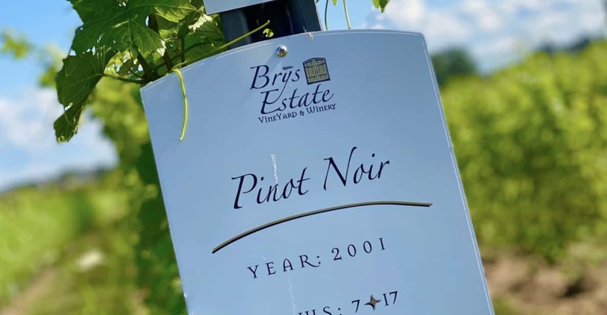 Designated Driver For Wine Tours - Traverse City - Authentic Experiences and Honest Feedback