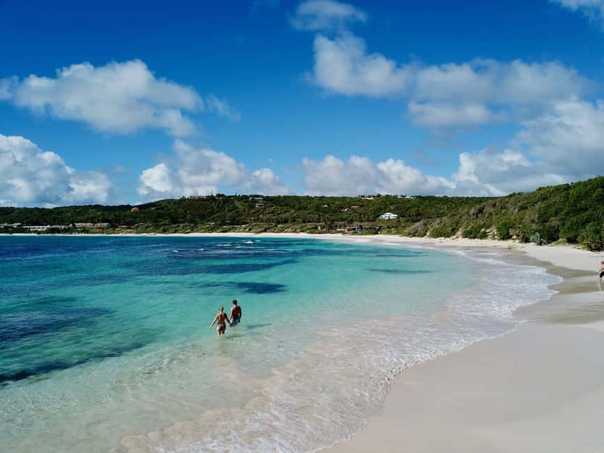 From St John's: Half Moon Bay Beach Half-Day Trip by Van - Why This Tour Offers Real Value