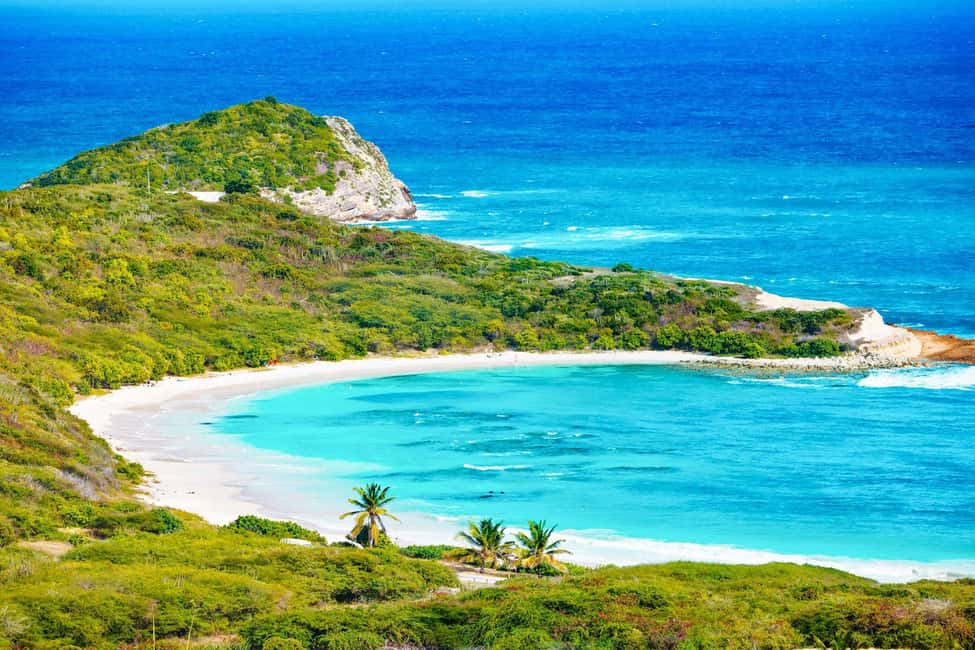 From St John's: Half Moon Bay Beach Half-Day Trip by Van - An In-Depth Look at the Antigua Half Moon Bay Beach Trip