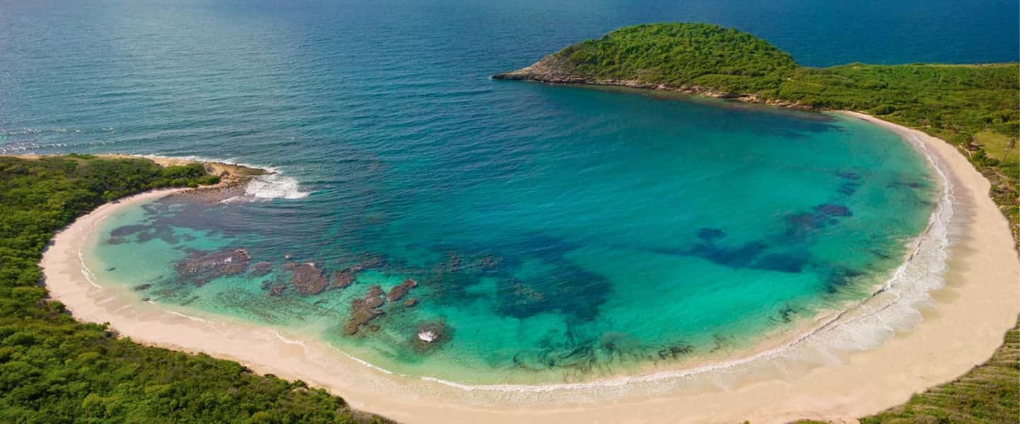 From St John's: Half Moon Bay Beach Half-Day Trip by Van - Who Should Consider This Tour?