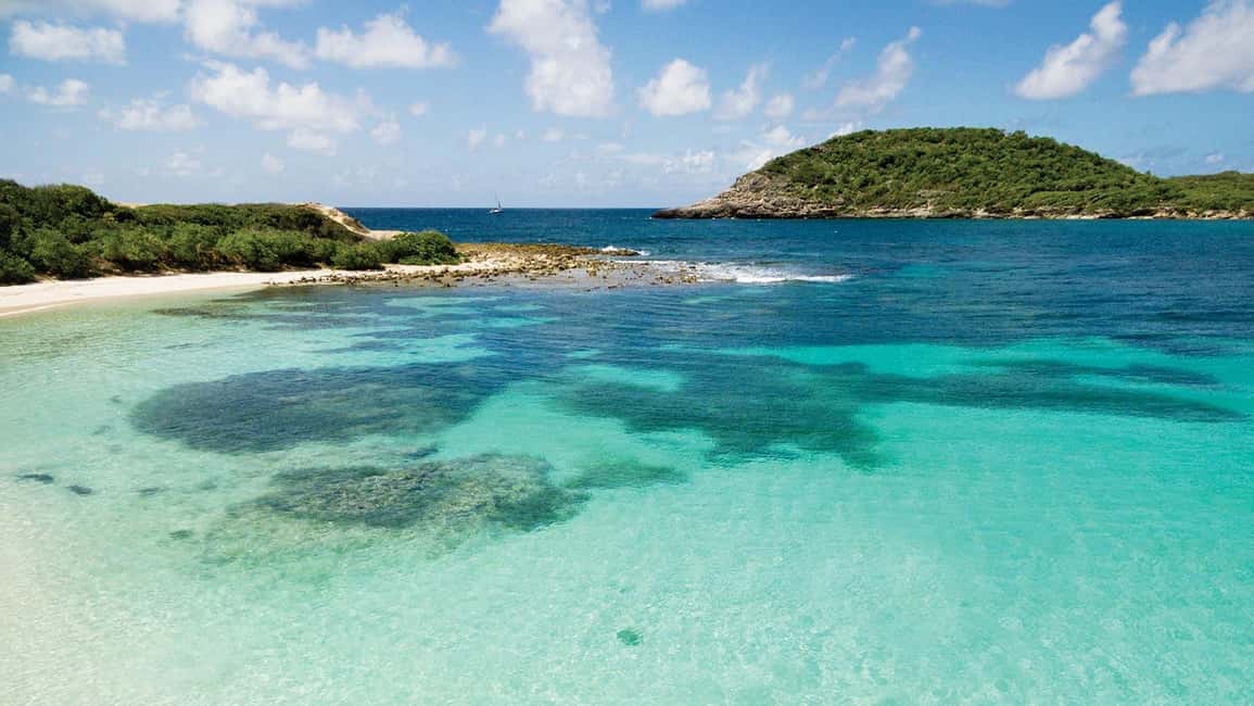 From St John's: Half Moon Bay Beach Half-Day Trip by Van - Key Points