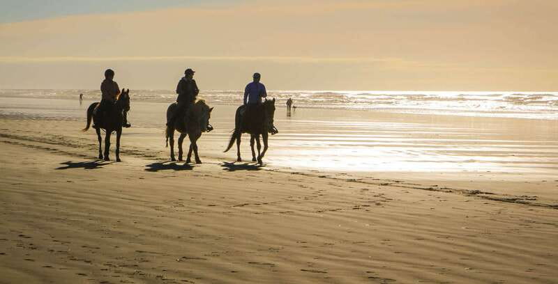 *Afro-Mex Village Horse Ride, Turtle Release Crocodile Farm - Discover Authentic Mexico with the Afro-Mex Village Horse Ride and Turtle Release Tour
