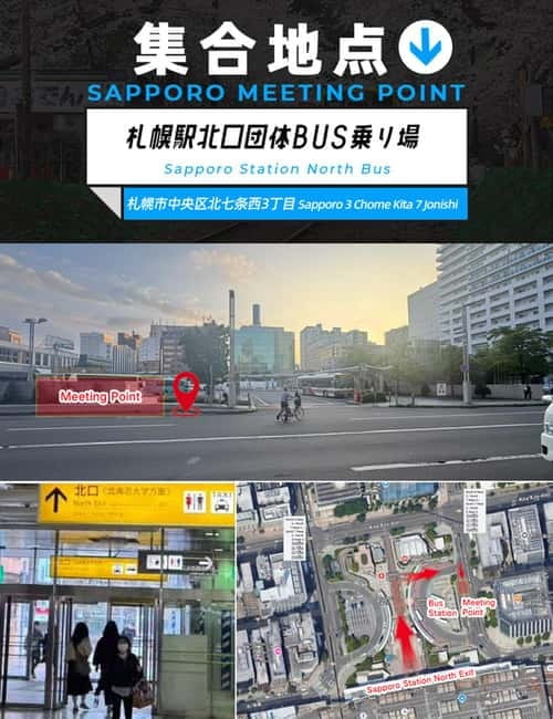 Sapporo: Furano Flower Sea & Biei Blue Pond Tour w/ Pickup - Final Thoughts: Who Is This Tour For?