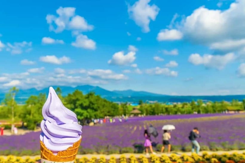 Sapporo: Furano Flower Sea & Biei Blue Pond Tour w/ Pickup - FAQs