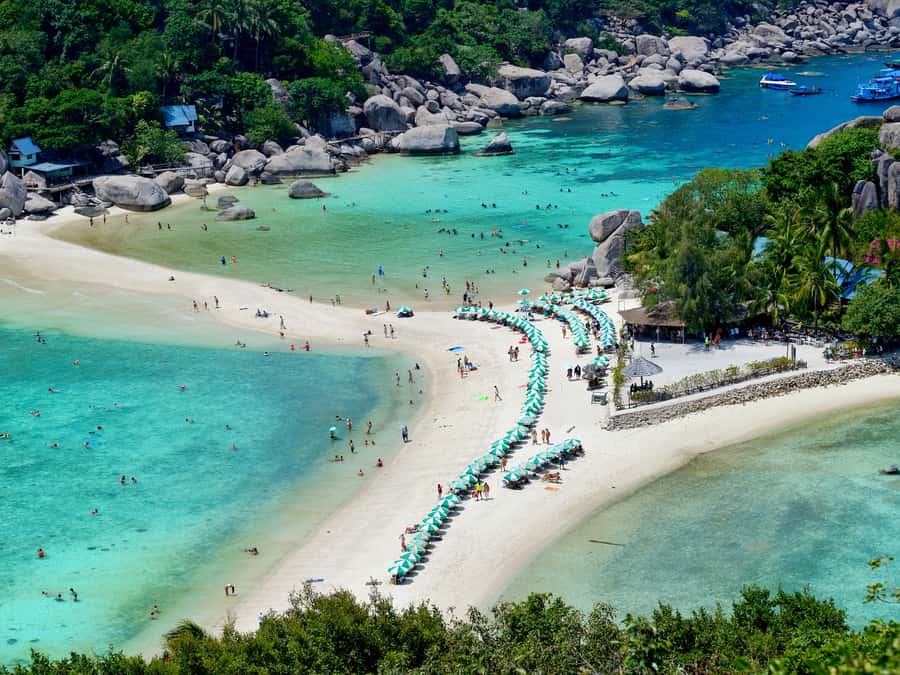 Koh Pha Ngan: Koh Tao and Nangyuan Snorkel tour with Lunch - Key Points