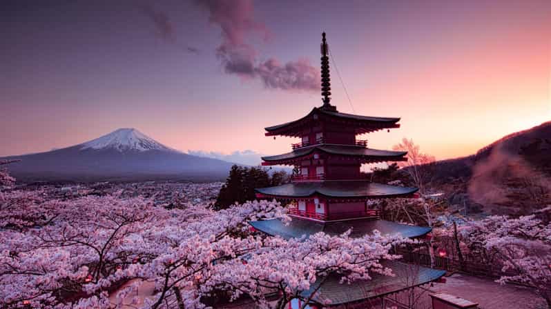 Mt Fuji Tour With Experienced English Driver - Who Should Take This Tour?  