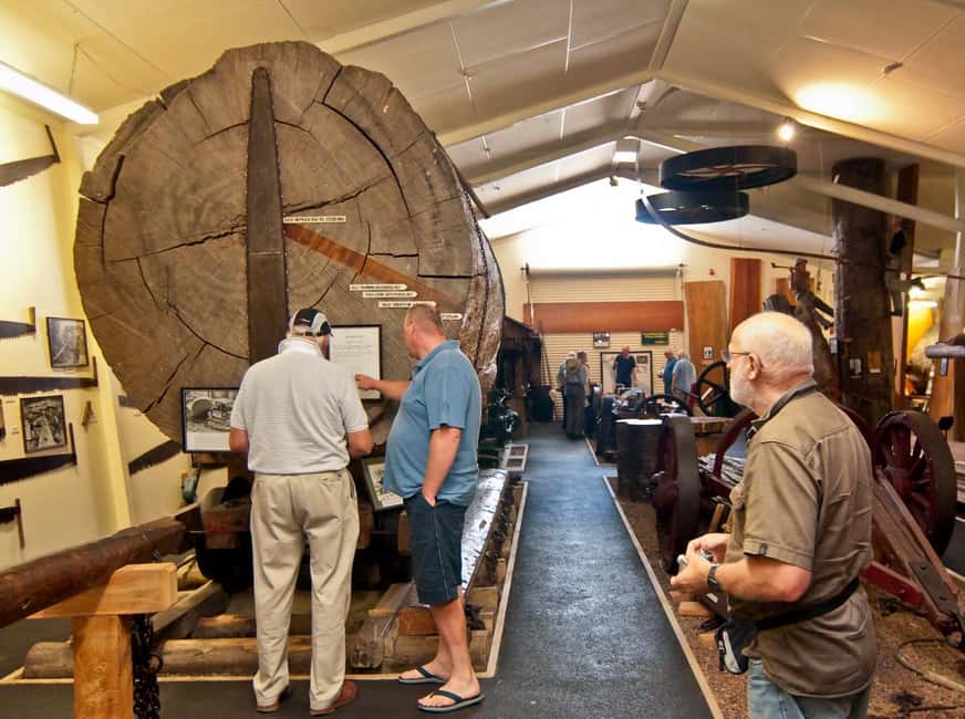 Matakohe: The Kauri Museum Entry Ticket - Who Will Appreciate This Experience?