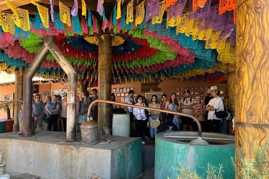Oaxaca: Tule Tree, Teotitlán, Mitla and Hierve el Agua Tour - FAQ