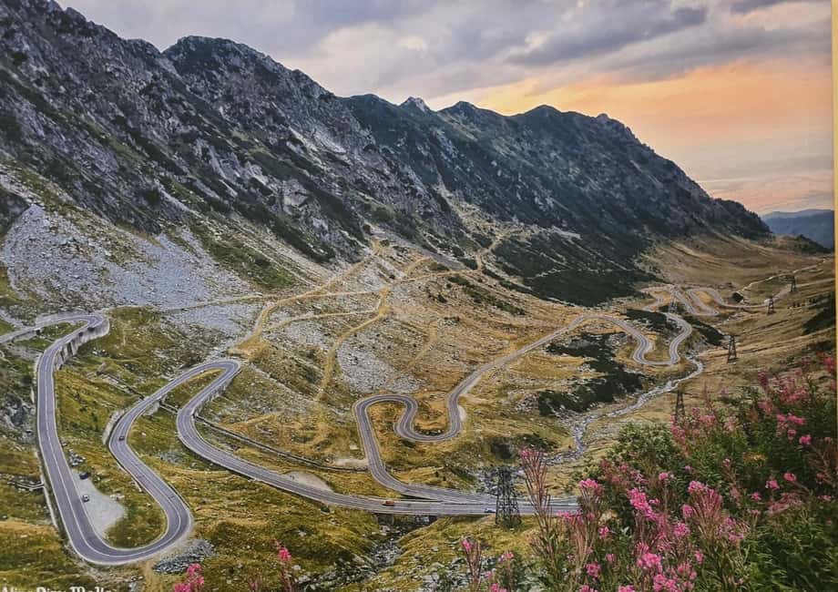 Small group max 7 - Bears Safari on Top Gear -Transfgran - Small Group Max 7 - Bears Safari on Top Gear - Transfagarasan