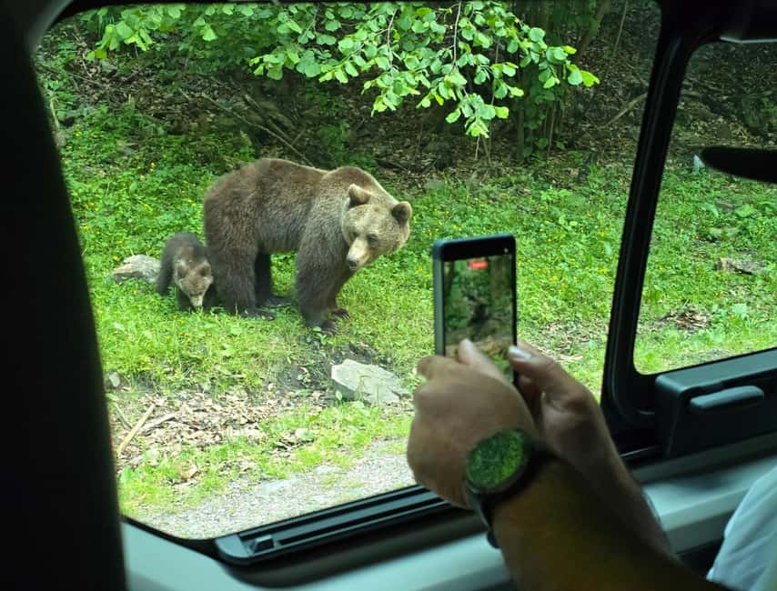 Small group max 7 - Bears Safari on Top Gear -Transfgran - FAQ
