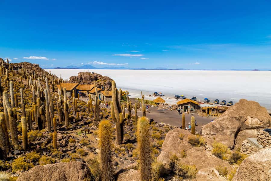 Uyuni Salt Flats Tour 1 day with guide in English - Exploring the Uyuni Salt Flats Tour in Detail