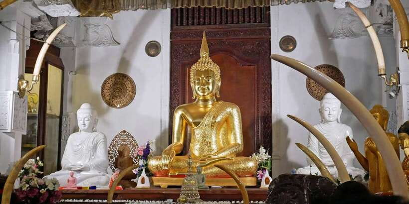 From Sigiriya: Kandy Transfer with Dambulla and Spice Garden - Key Points