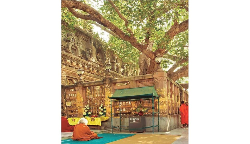 Varanasi to Bodhgaya : A day trip of Enlightment exploration - Value & Practicality