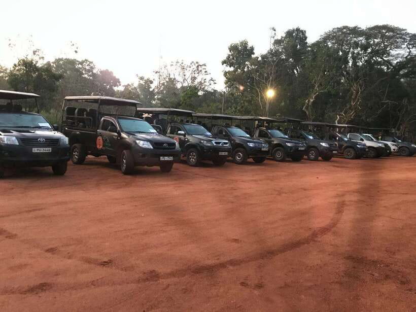 Wilpattu National Park Safari - The Value of the Wilpattu Safari