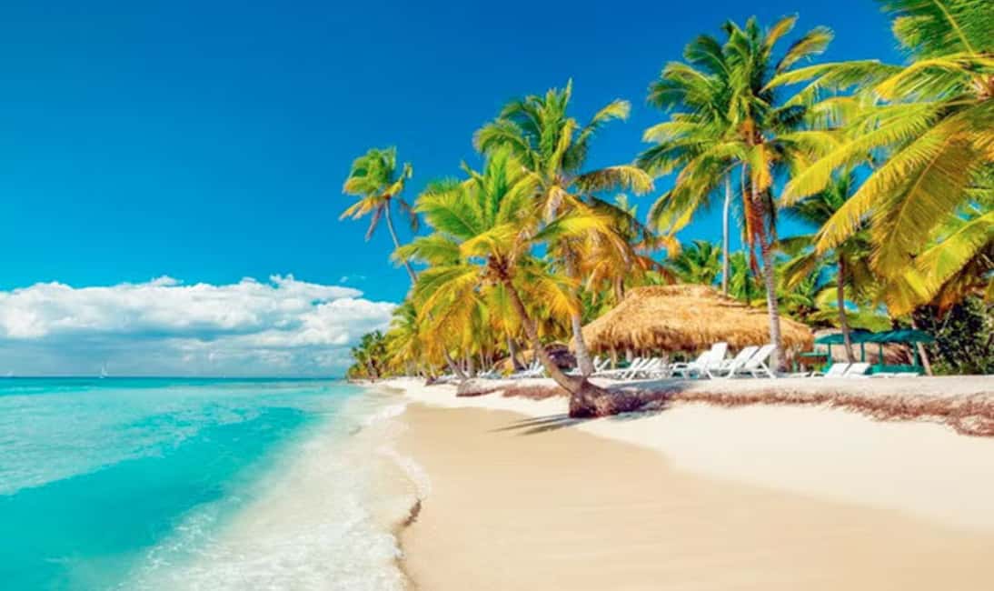 Punta Cana :Saona Island Paradise full-Day Escape - An In-Depth Look at the Saona Island Full-Day Tour