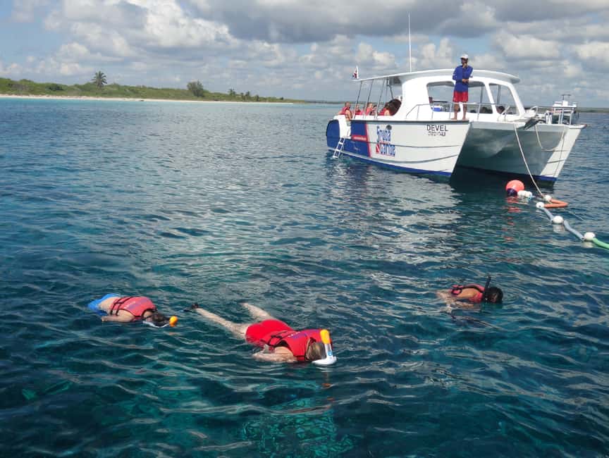 From Punta Cana: Saona Island Full-Day Tour with Lunch - The Natural Swimming Pool: A Clear-water Oasis