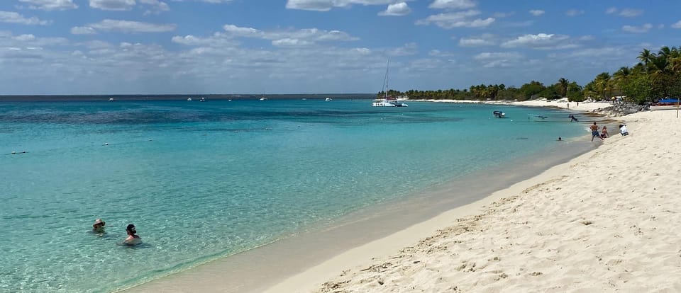 From Punta Cana: Saona Island Full-Day Tour with Lunch - Arriving at Saona Island: Beach, Shells, and Serenity