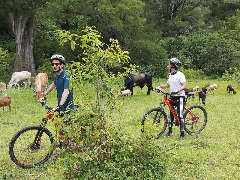 Oaxaca: Ejutla Canyon 1 Day Bike Tour - A Deep Dive into the Ejutla Canyon Bike Tour