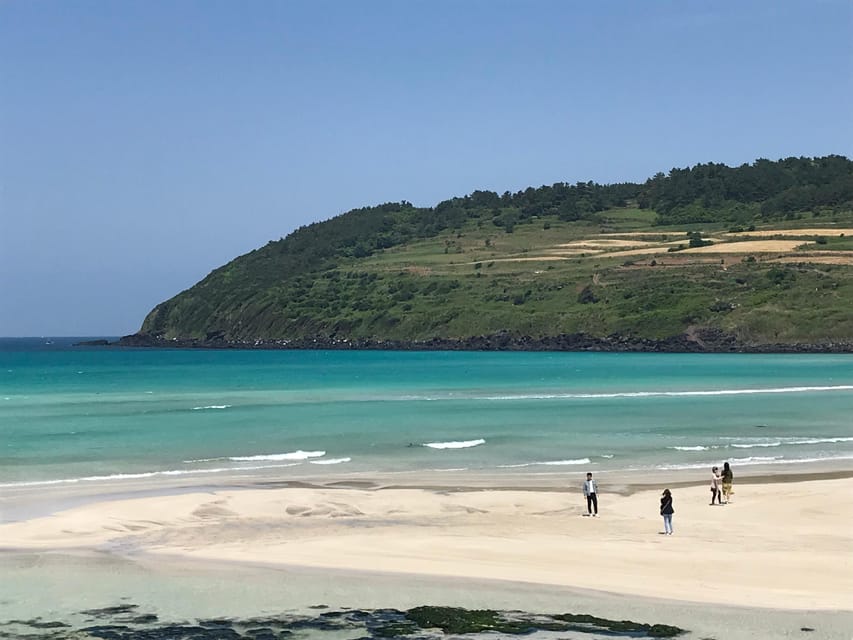 Jeju: East of Jeju Island Bus Tour from Seogwipo City - Coastal Road & Haenyeo Museum