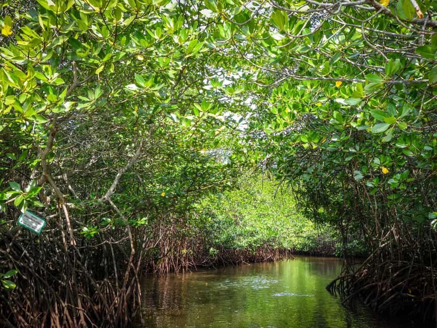 Andaman Island: Day Tour to Baratang Island - Introduction: What to Expect from This Tour