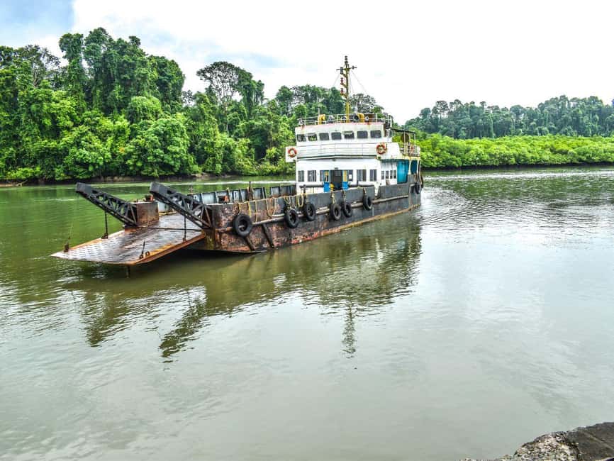 Andaman Island: Day Tour to Baratang Island - Key Points