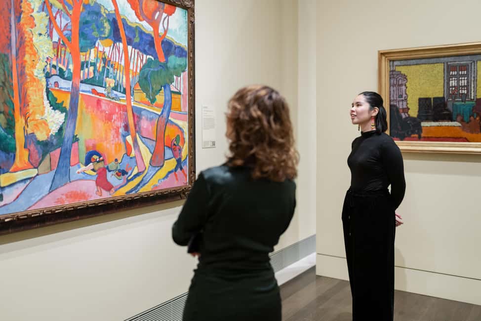 The Museum of Fine Arts, Houston Entry Ticket - FAQ