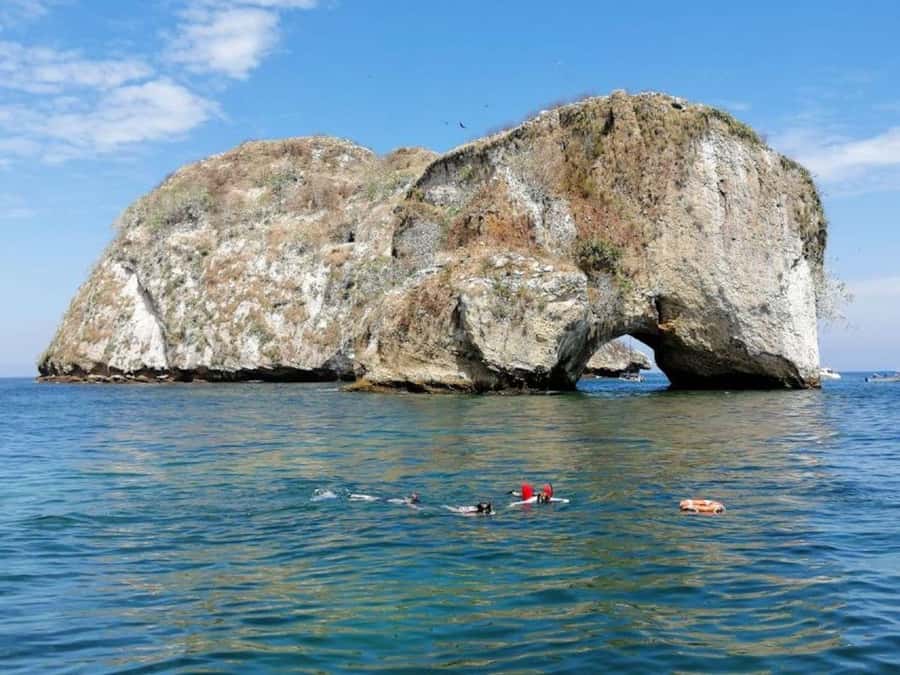 Puerto Vallarta: Snorkel and Swim Tour with Lunch and Drinks - Who Should Consider This Tour?