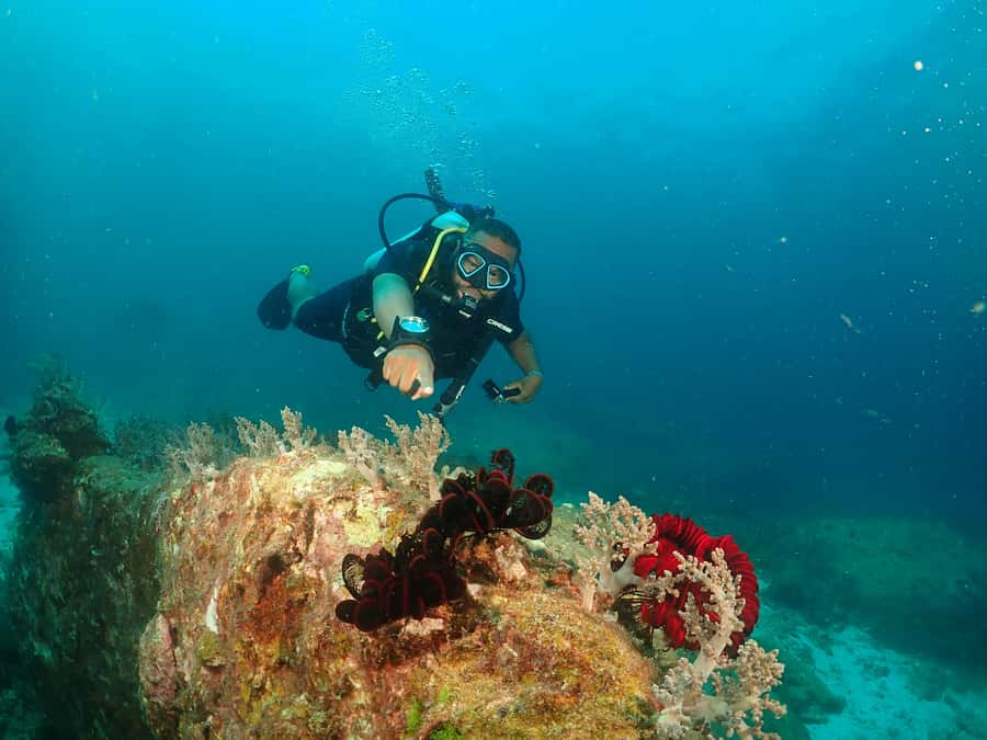 Phuket: SCUBA DIVING Day Trip Racha Yai/ Racha Noi 3 Dives - Key Points