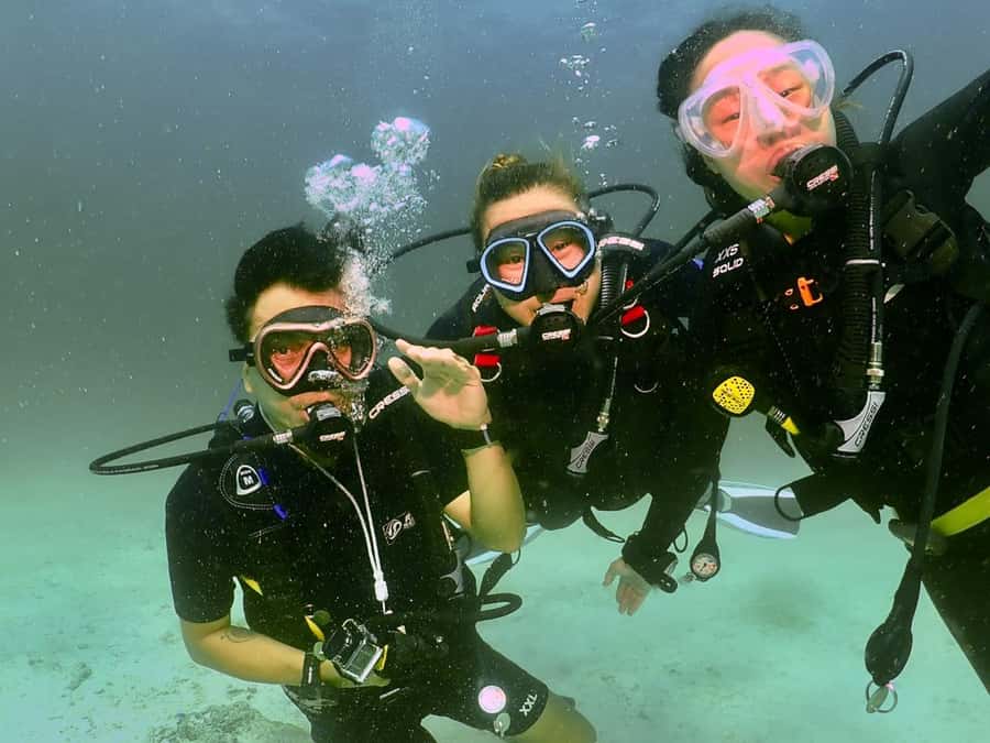 Phuket: 3 Dive Koh Phi Phi/Shark Point Scuba Diving Day Trip - Value and Pricing: Is It Worth It?