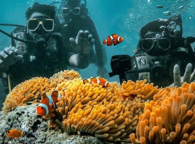 Andaman Islands: Scuba Diving Tour - What the Reviews Say: Authentic Insights