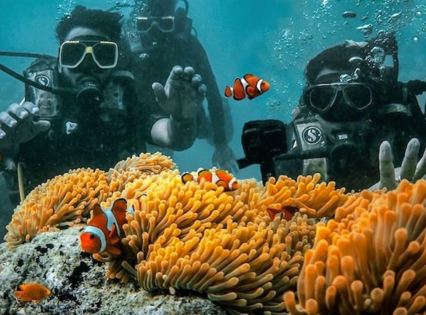 Andaman Islands: Scuba Diving Tour - Who Should Consider This Tour?