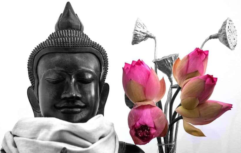 Siem Reap Lotus Silk Farm Tour with Pick Up downtown - Authentic Insights from Past Visitors