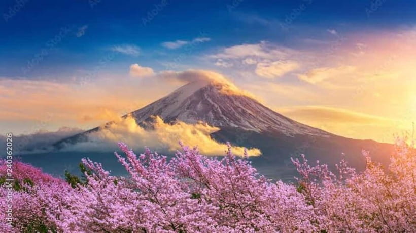 From Tokyo: Mount Fuji Full Day Customizable Private Tour - Introduction